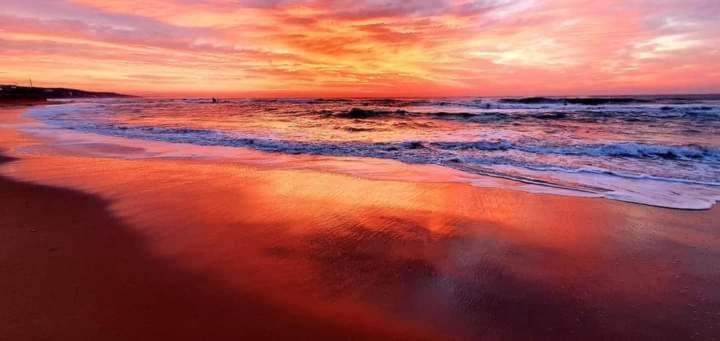 511 Umdloti Resort Beachfront 1Bed Self Catering Apartment Sea View エクステリア 写真